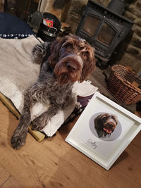 Custom pet portrait with Name (1 pet per photo upload)